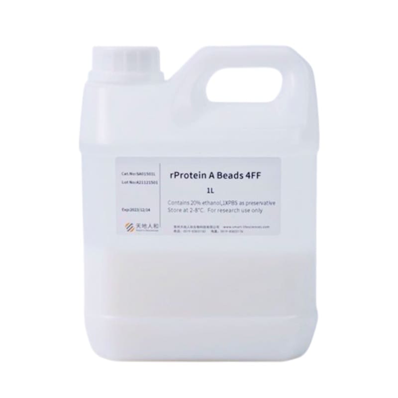 Сорбент хроматографический аффинный rProtein A Beads 4FF с Белком А