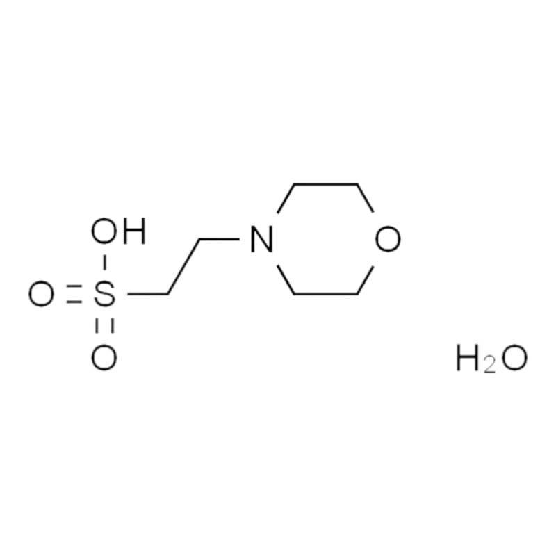 MES, 2-морфолиноэтилсульфоновая кислота моногидрат