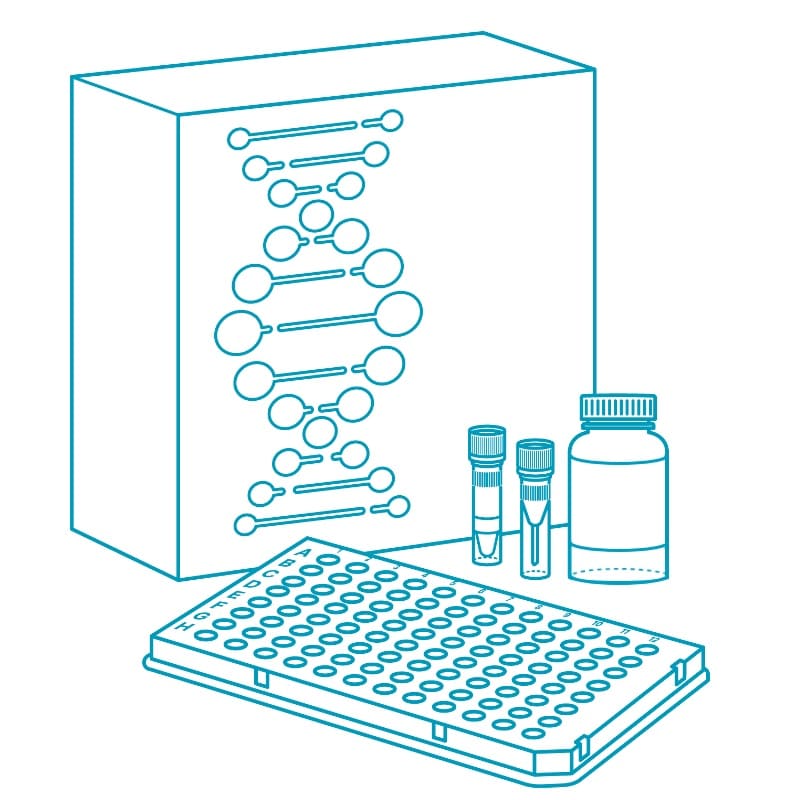 Набор для быстрой подготовки библиотек ДНК MGIEasy Fast FS DNA Library Prep Set V2.0