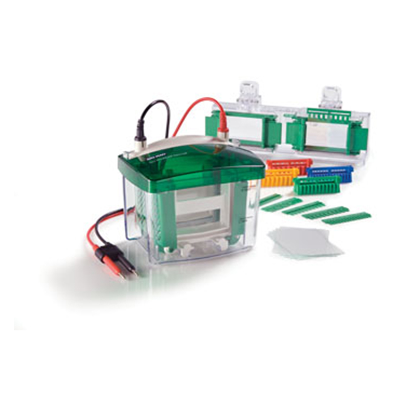 Камера для вертикального электрофореза Mini-PROTEAN® Tetra, 4 геля, 0,75 мм