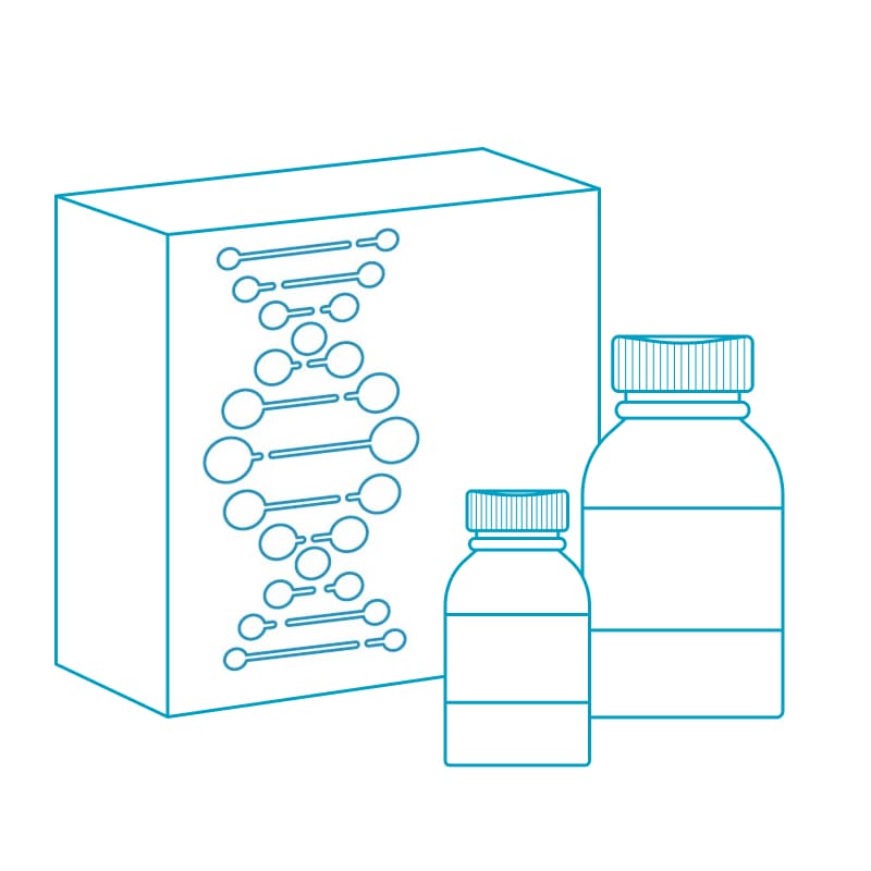 Набор для промывки CycloneSEQ G100-ER Flow Cell Wash Kit