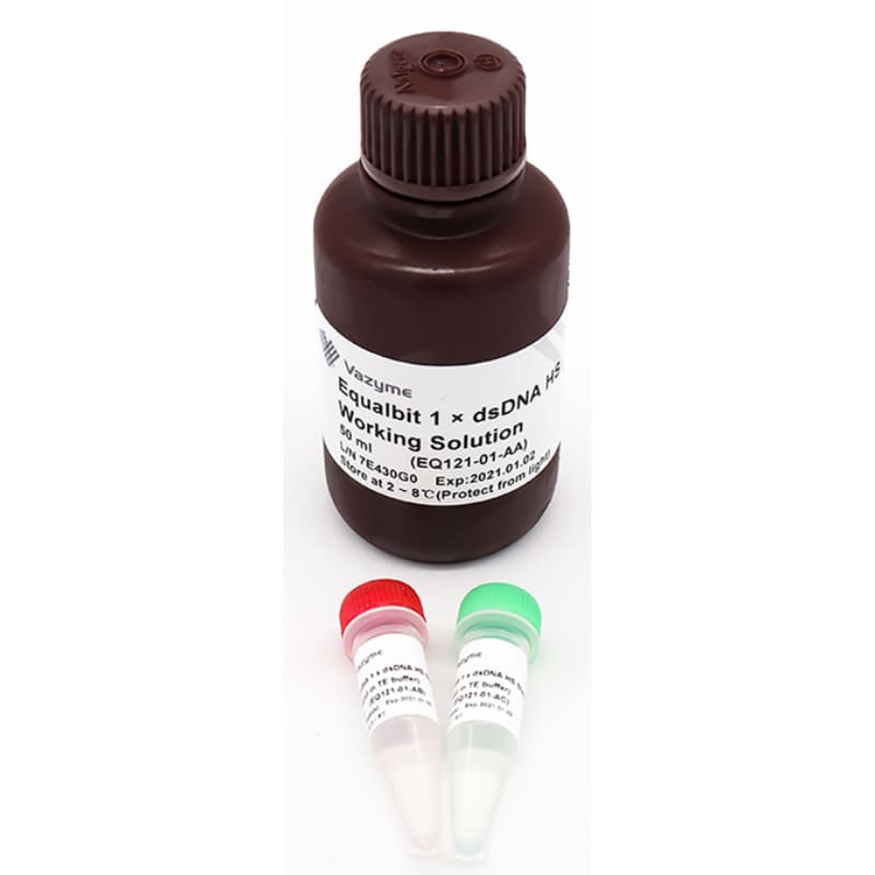 Набор Equalbit 1x dsDNA HS Assay Kit для определения количества ДНК (готовый к использованию)