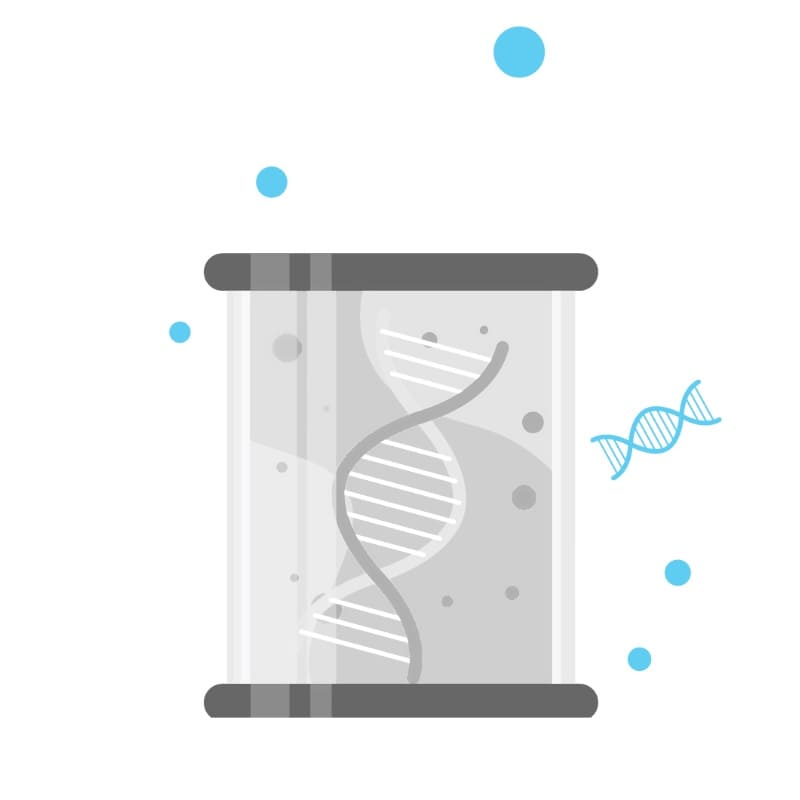 Наборы для выделения РНК и ДНК со скидкой 20%