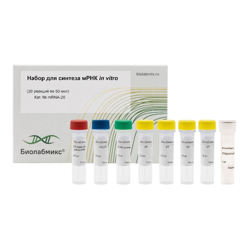 Набор для синтеза мРНК in vitro