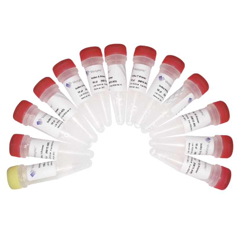 Набор VAHTS® Small RNA Index Primer Kit for Illumina, 12 реакций (-20°)