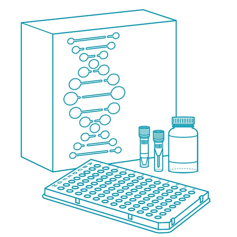 Набор для конверсии библиотек Illumina MGIEasy Universal Library Conversion Kit (App-A)