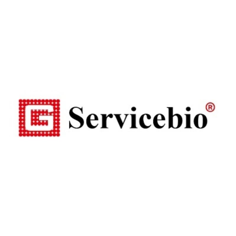 Поликлональные антитела кролика к SERPINB8  человека. Арт. GB114336