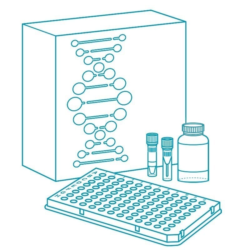 Набор для подготовки библиотек ДНК без ПЦР MGIEasy Fast PCR-FREE FS DNA Library Prep Set V2.0