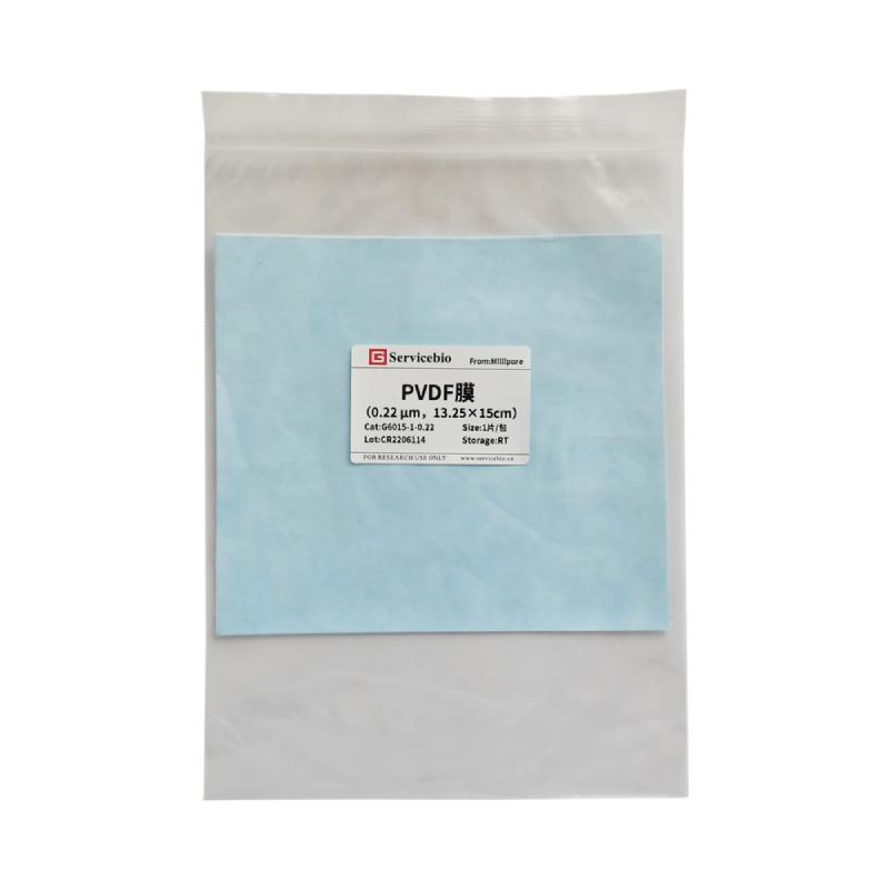 Мембрана PVDF для вестерн-блоттинга, 0,22 мкм, нарезанная, 13,25×15 см