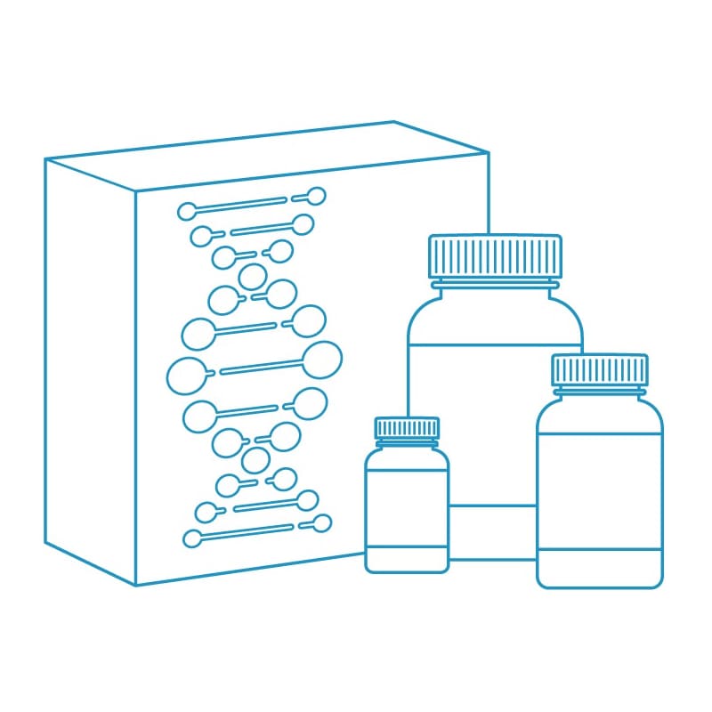 Набор MagPure Pathogen DNA/RNA Kit для выделения ДНК/РНК патогена из биологических жидкостей