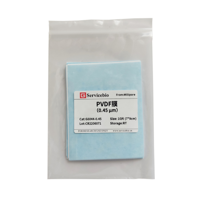 Мембрана PVDF для вестерн-блоттинга, 0,45 мкм, нарезанная, 13,25×15 см