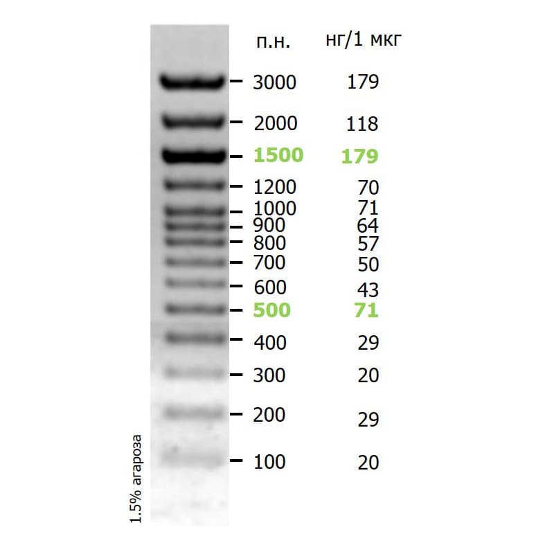 Маркеры длины ДНК Step 100 Long (14 фрагментов от 100 до 3000 п.н.)