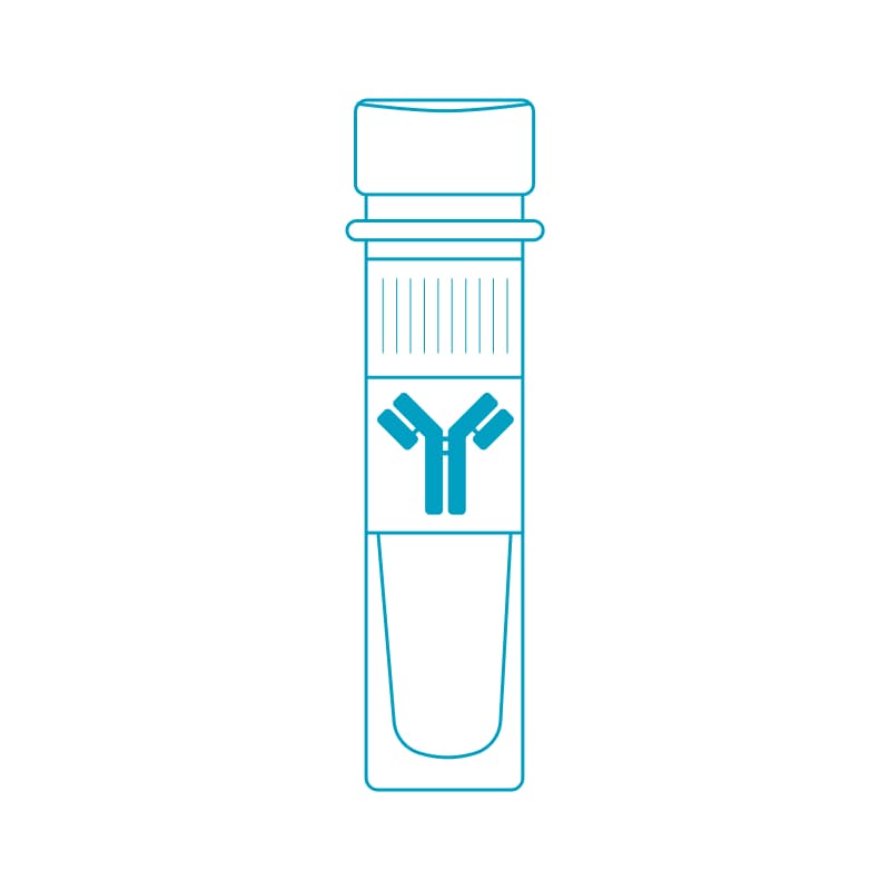 Поликлональные антитела кролика к FLNC человека, мыши