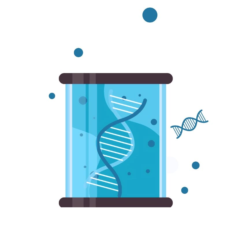 Наборы для выделения РНК и ДНК со скидкой 20%