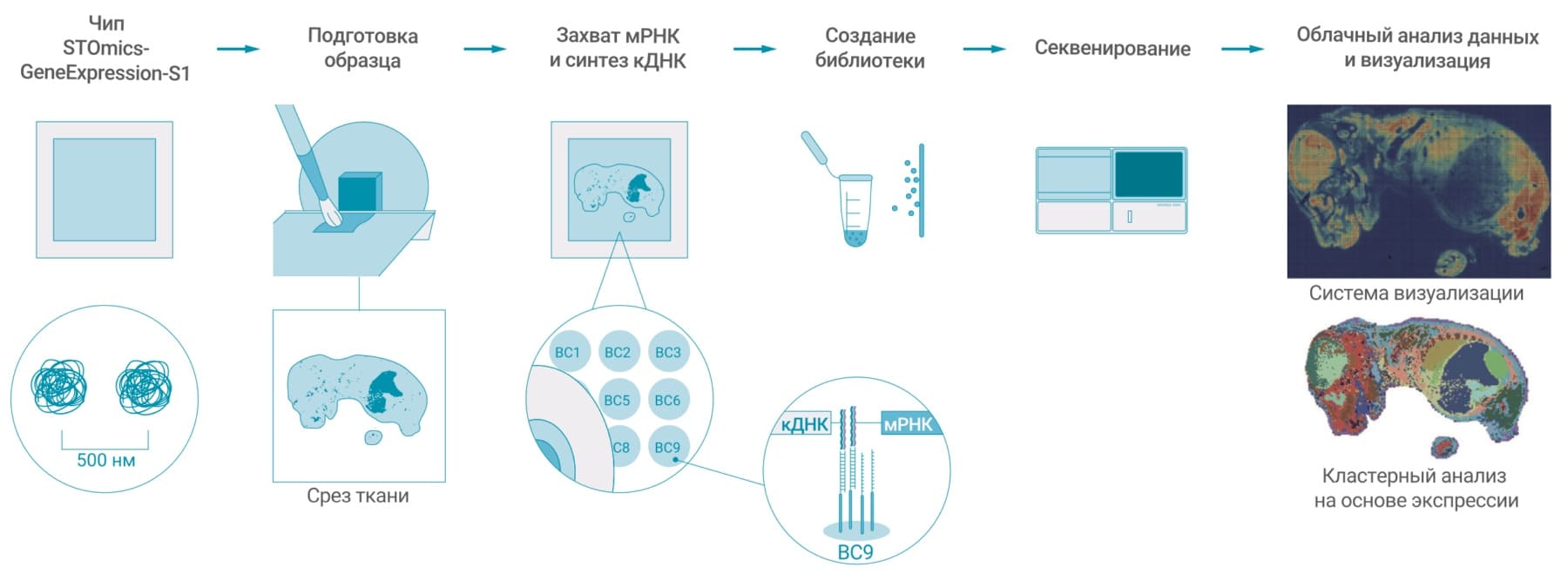 Описание рабочего процесса