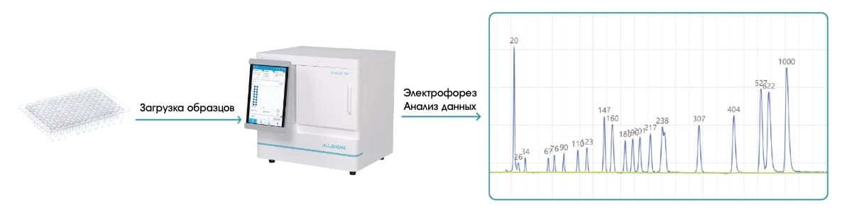 До 200 образцов на борту