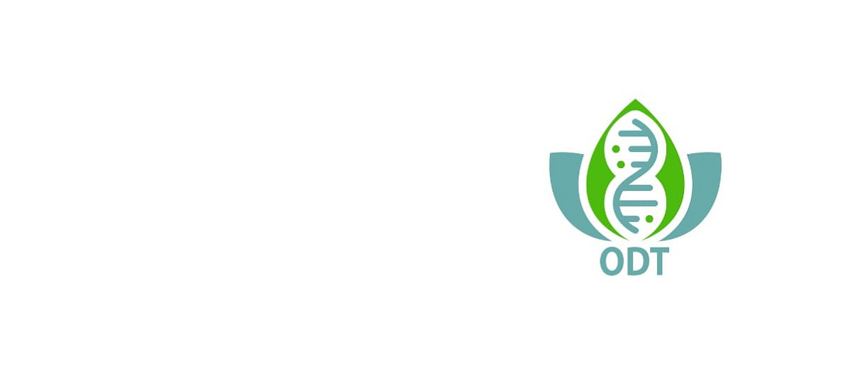 ОД-Тест