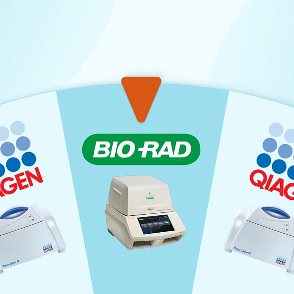 Амплификаторы с РУ на складе!